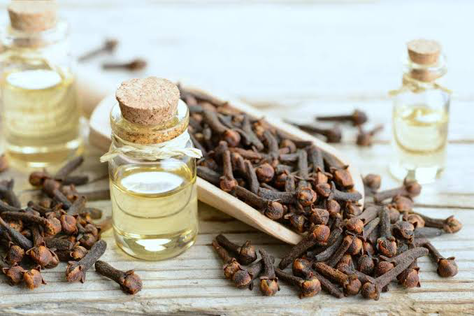 Benefits of Clove Water and Oil for Hairloss and Skin Conditions – A G –  Root2tip