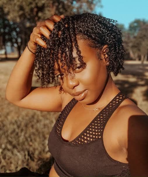 MINI TWISTS FOR TYPE 4 HAIR - GUIDE